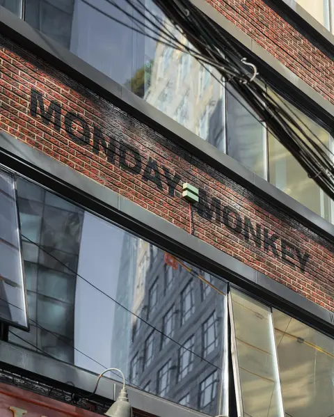 MONDAYMONKEY 2