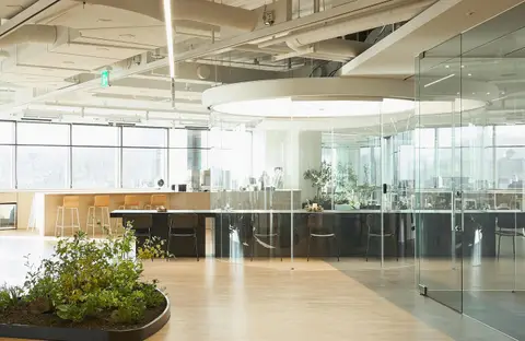 AIMED 11
