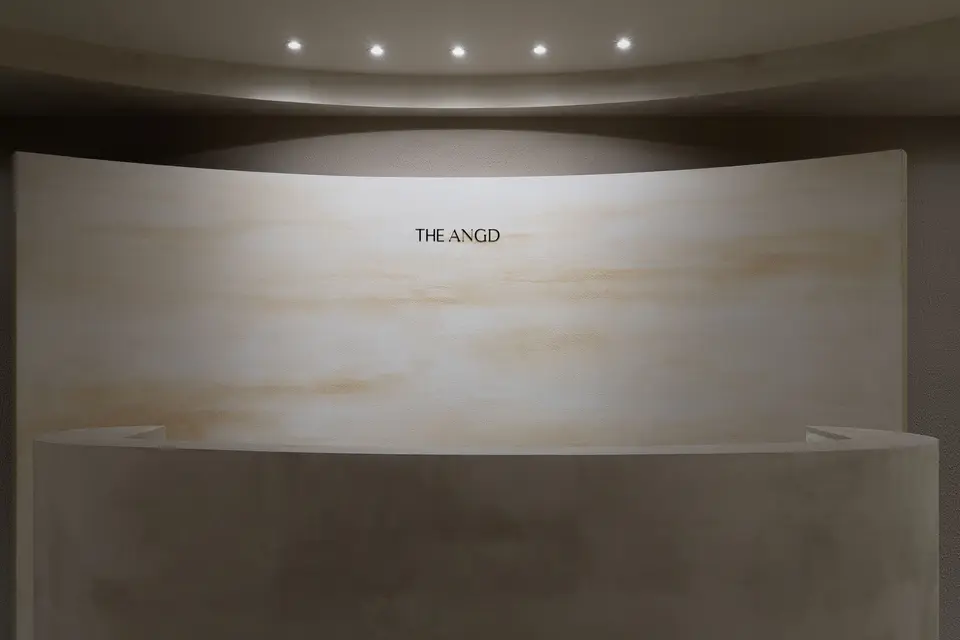 THE ANGD 11