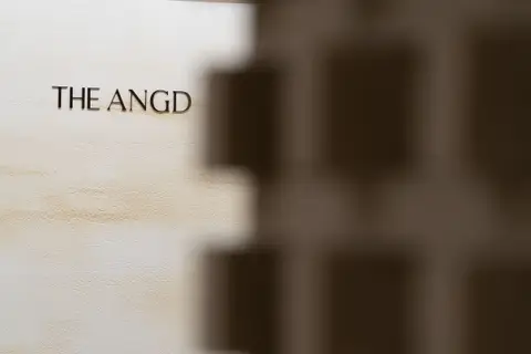 THE ANGD 13