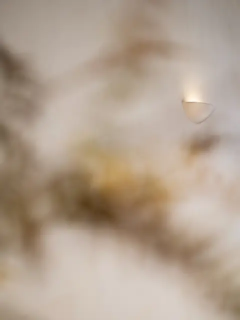 FIABA NEST 21